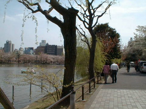 Pond of Shinobazu