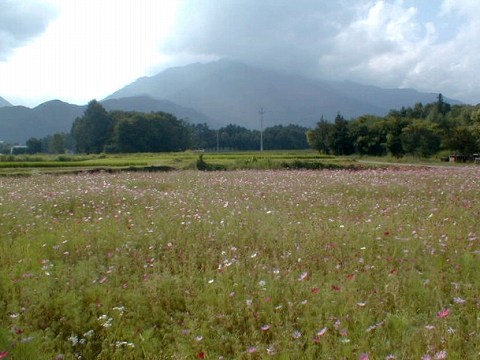 ���ܖ� Azumino