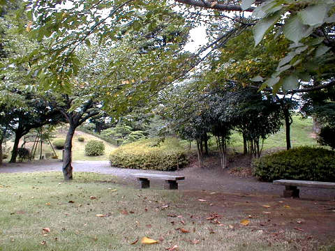 �Ő�����