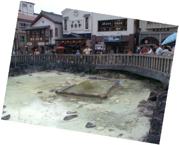 �����̏L���i��ŗ��̂悤�ȏL���j������B�B�B