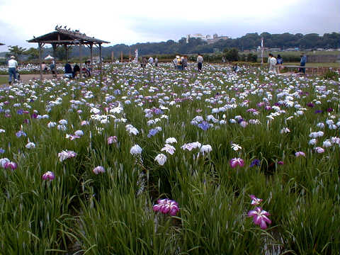 �����͏Ҋ��܂�A�S���̐l�B�����������Ă��܂����B