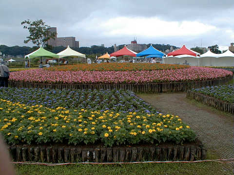 ���Ղ̏������啪�i�񂾂悤�ł��B