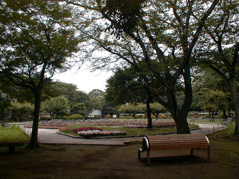 ����Ҋ������ɗ����]�ː�����񂾌������Ɉʒu���܂��B