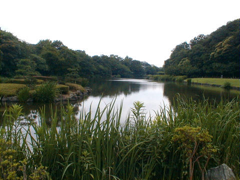 �r�̎�����U������l�A�W���M���O����l�X�����܂����B