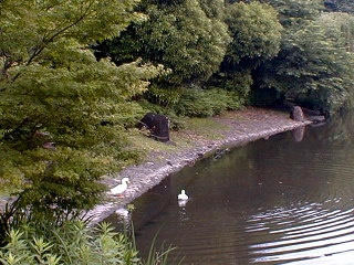 ���ǂ��̓�H