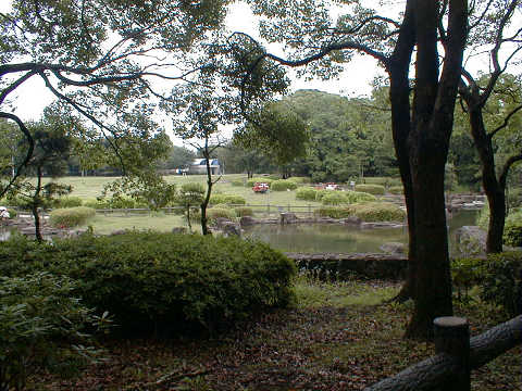 �L�������̂��ɁA���̉����r���ЂƂ��邾���ł��B