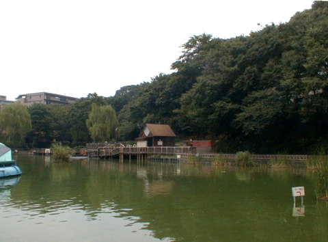 ��������079007