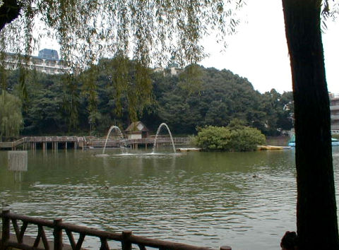 ��������079009