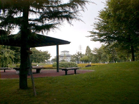 ��{�Ԃ̋u����079019