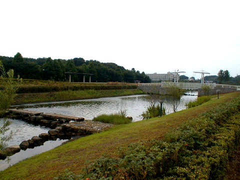 ��{�Ԃ̋u����079033