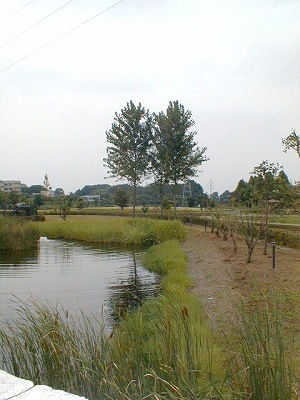 ��������079039