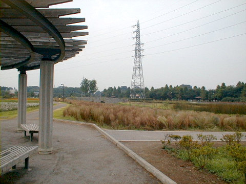 ��{�Ԃ̋u����079051