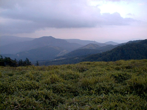 ������82-199