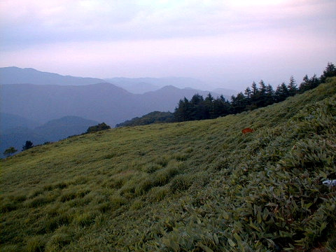 ������82-200