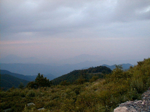 ������82-207