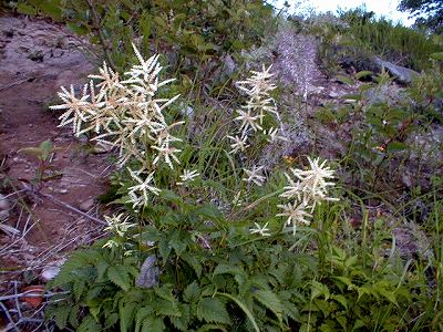 ������82-208