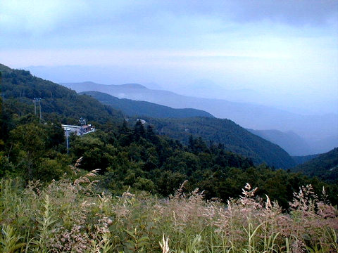 ������82-217