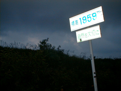 ������82-229