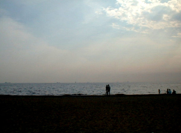 �������ɂ̓��b�g���y���މe�������܂����B