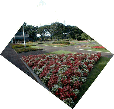 ����s���O���[���Z���^�[