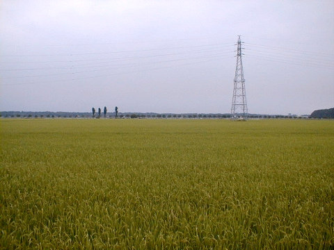 �X�[�p�[���c