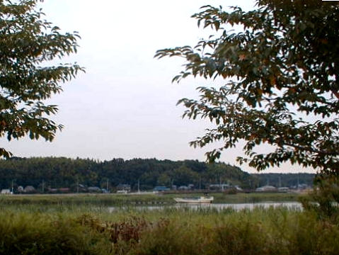 ���q�ӂ邳�ƍL��