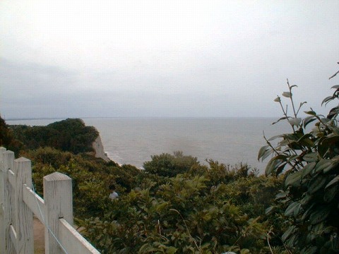 $BB@J?MN$O8+EO$98B$j3$!