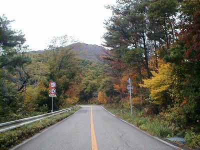 $BLoI';3$N9HMU$,H~$7$$$G$9!#(B