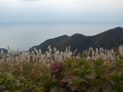 $B:4EOEg$,$\$s$d$j8+$($^$9!#(B