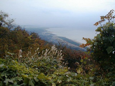 $BLoI';3$N9HMU$,H~$7$$$G$9!#(B