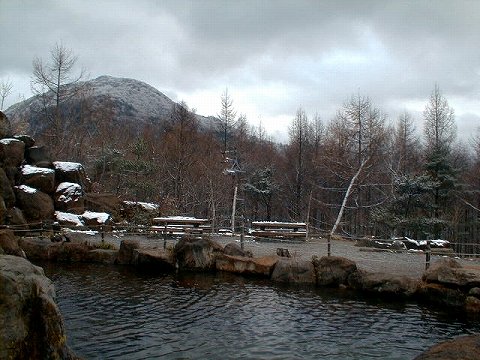 113120$B;V2l9b86(B