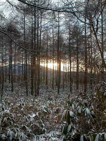 113128$B;V2l9b86(B