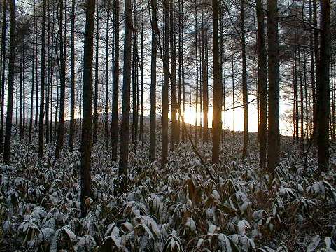 113130$B;V2l9b86(B