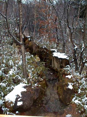 113158$B;V2l9b86(B