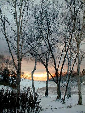 113165$B;V2l9b86(B