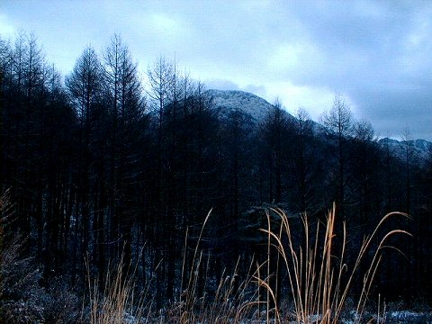 113197$B;V2l9b86(B