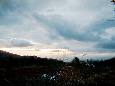 113199$B;V2l9b86(B