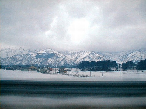 $B>e?.1[<+F0<VF;(B