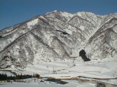 $B;09q@n%@%`$+$i$ND/K>(B