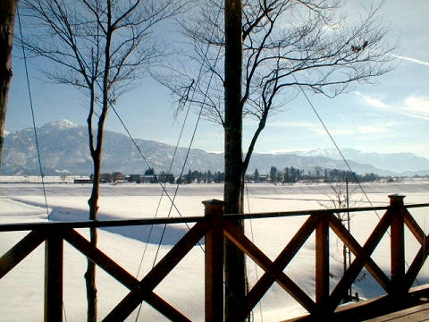 $B%U%)%l%9%H%$%$%s$+$i$ND/$a(B